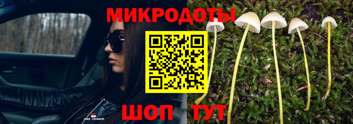 наркотики  Вход с VPN  Рузаевка  Псилоцибиновые грибы MAGIC MUSHROOMS 